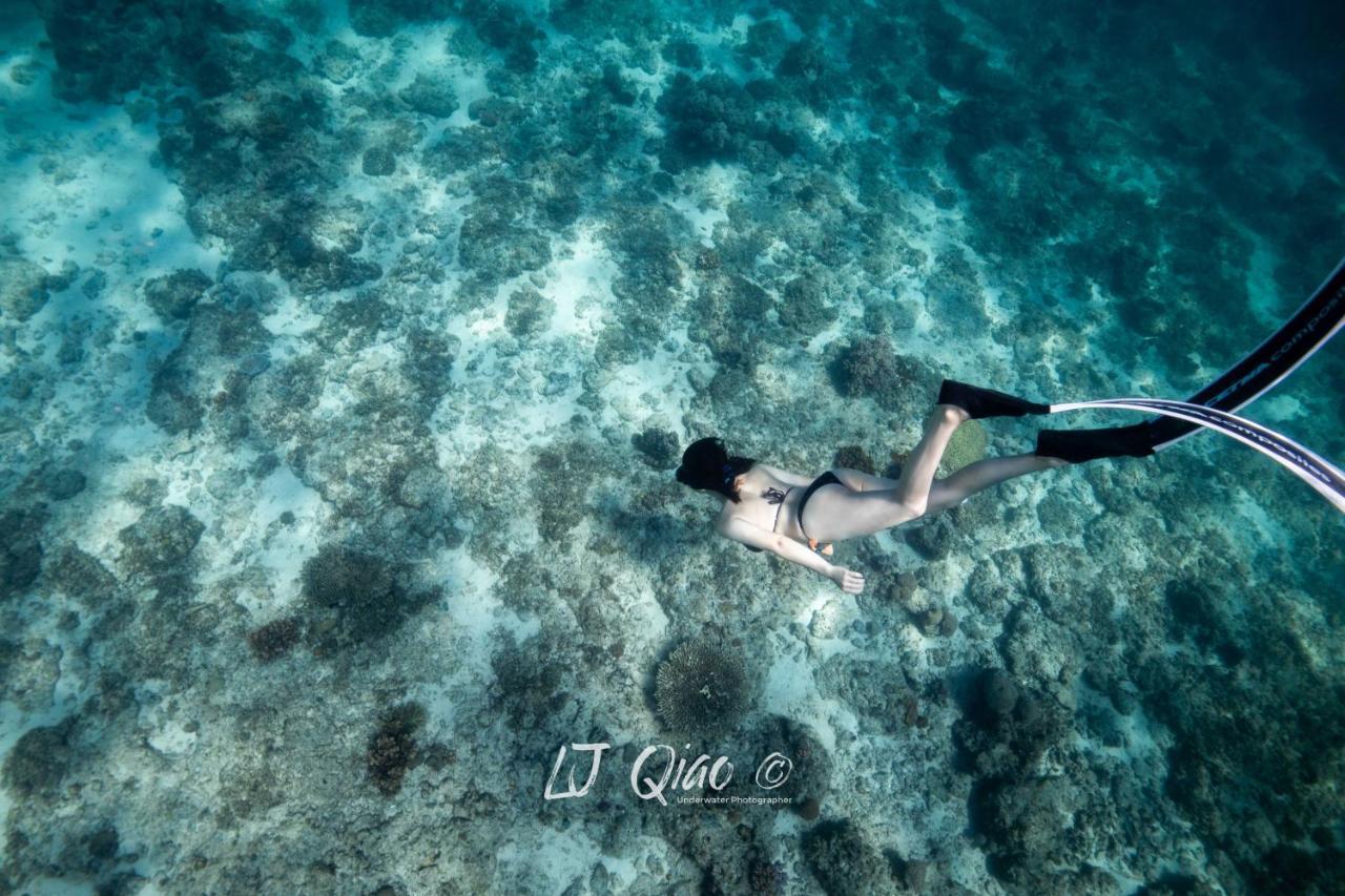 Sugarsea Inn & Dive Shop Lapu-Lapu City Exteriér fotografie
